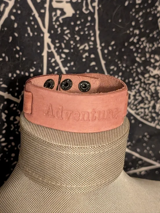 Scenic R - Picture 3 of 5